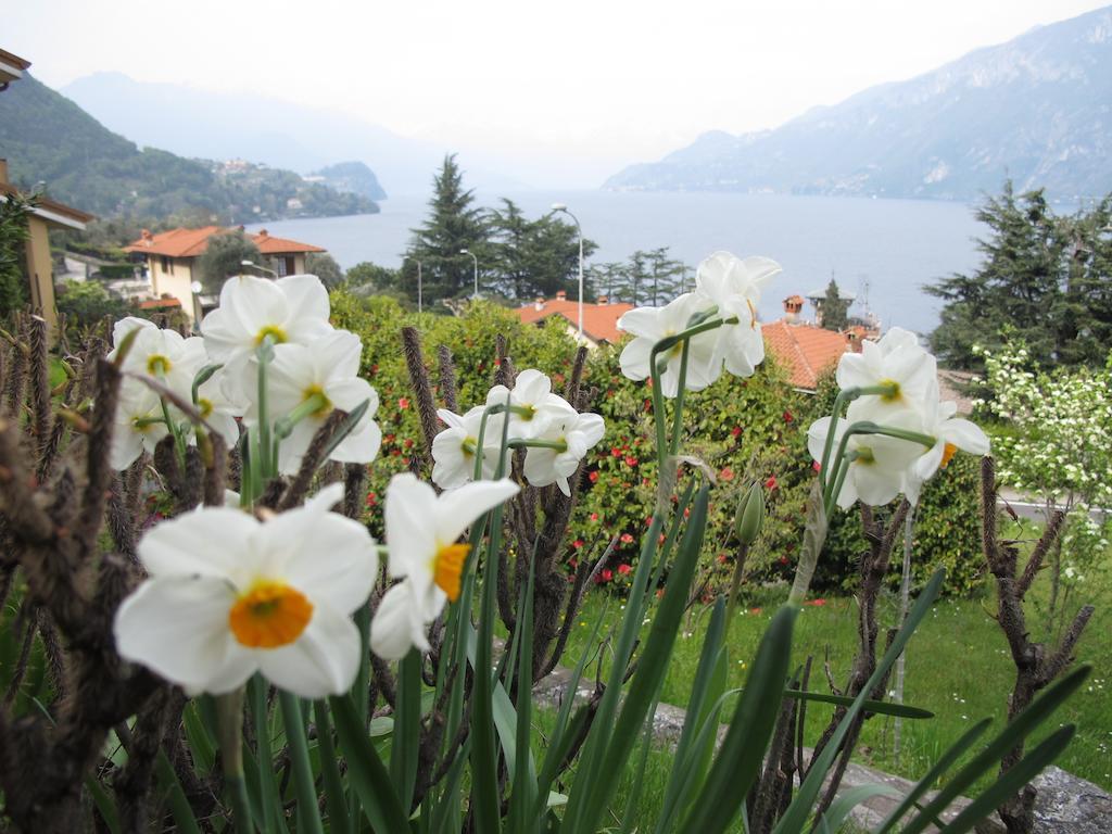 Villa Panorama Oliveto Lario Extérieur photo